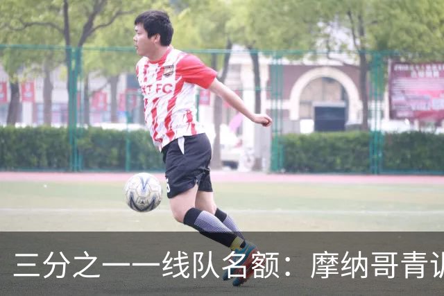 三分之一一线队名额：摩纳哥青训定下新目标
