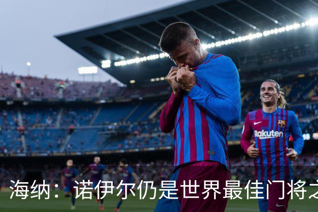 海纳：诺伊尔仍是世界最佳门将之一，失误和年龄无关