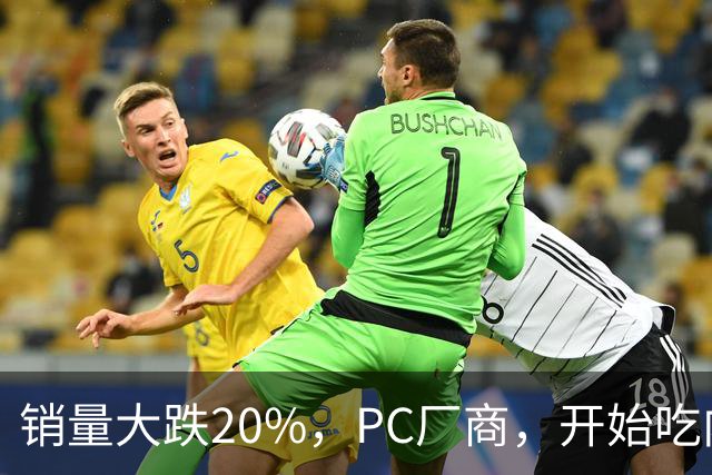 销量大跌20%，PC厂商，开始吃内存的苦了