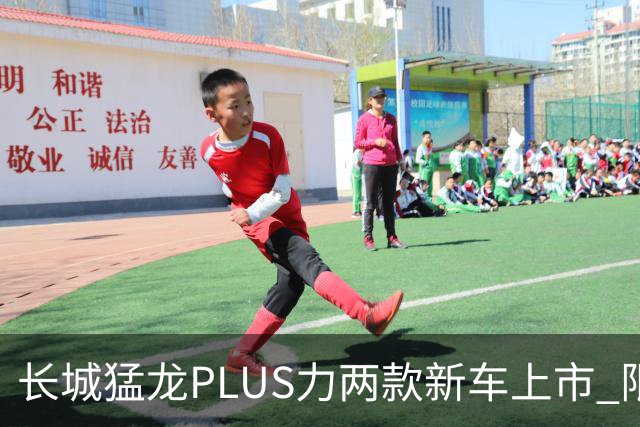 长城猛龙PLUS力两款新车上市 限时换新价17.78万元起